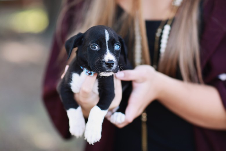 charlotte-nc-senior-portrait-photographer_1829