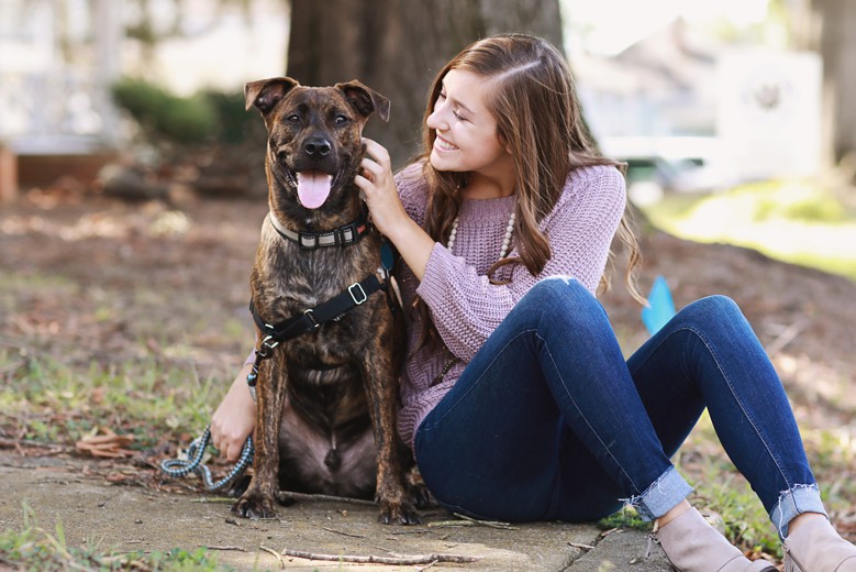 cabarrus pets society